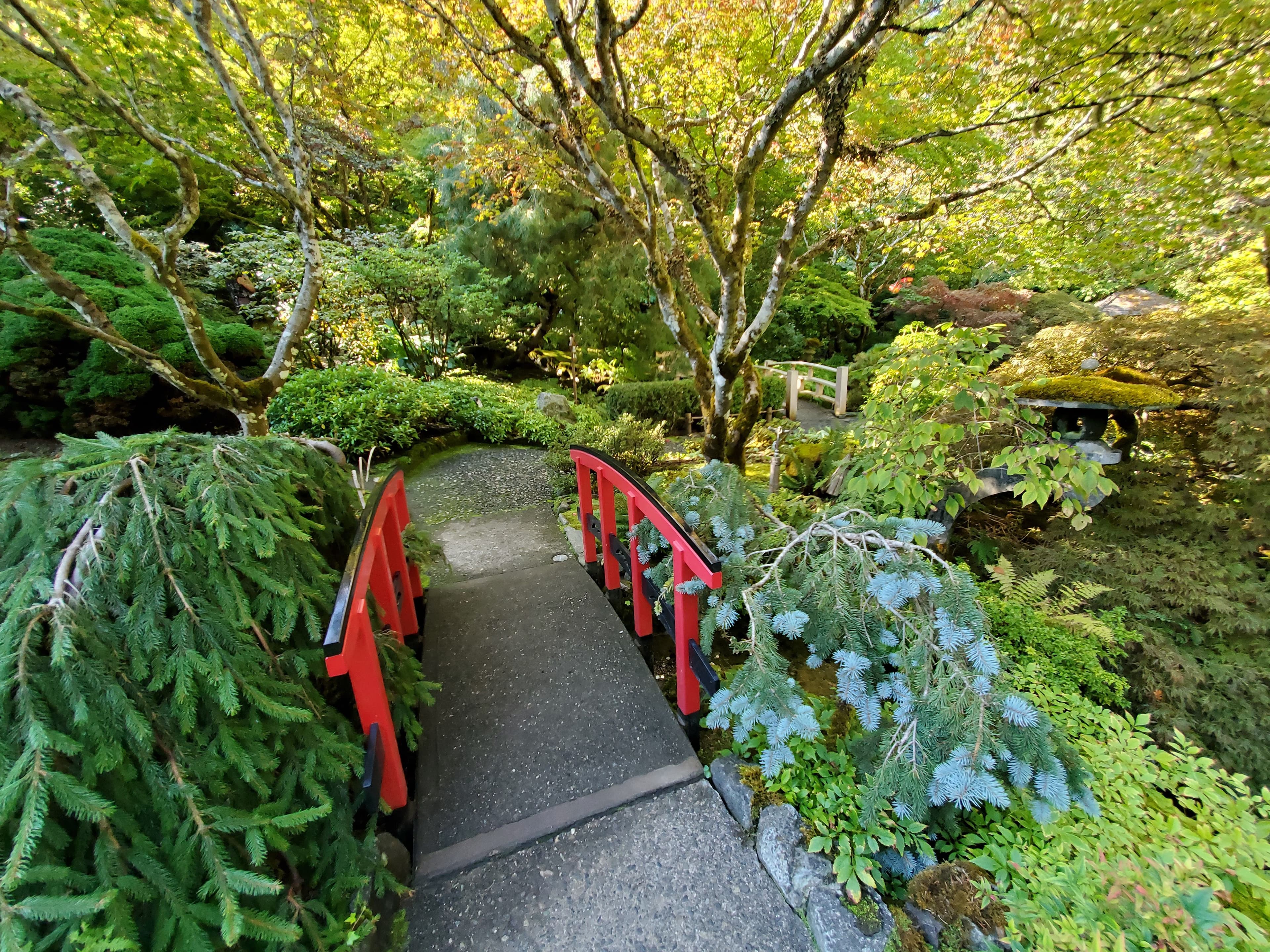 Our Compulsion to Understand